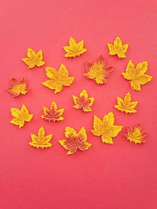 🐾 𝗔𝘂𝘁𝘂𝗺𝗻 𝗙𝗮𝗹𝗹𝘀 🐾