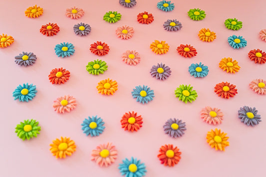 🐾𝗗𝗲𝗮𝗿𝘆 𝗗𝗮𝗶𝘀𝗶𝗲𝘀 𝟮.𝟬🐾