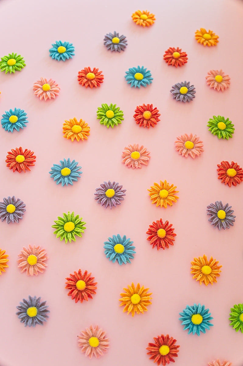 🐾𝗗𝗲𝗮𝗿𝘆 𝗗𝗮𝗶𝘀𝗶𝗲𝘀 𝟮.𝟬🐾