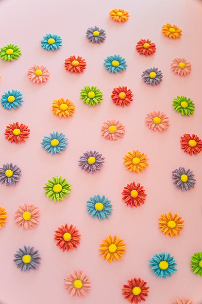 🐾𝗗𝗲𝗮𝗿𝘆 𝗗𝗮𝗶𝘀𝗶𝗲𝘀 𝟮.𝟬🐾