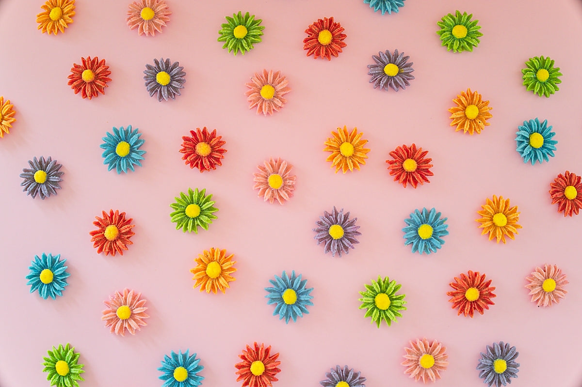 🐾𝗗𝗲𝗮𝗿𝘆 𝗗𝗮𝗶𝘀𝗶𝗲𝘀 𝟮.𝟬🐾