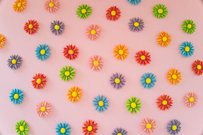 🐾𝗗𝗲𝗮𝗿𝘆 𝗗𝗮𝗶𝘀𝗶𝗲𝘀 𝟮.𝟬🐾