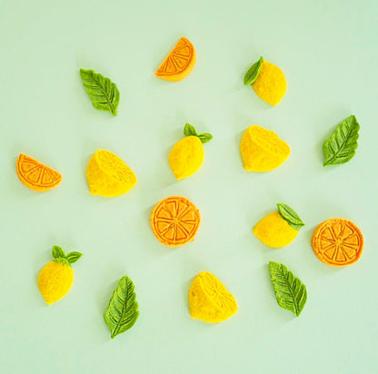 🍋 𝐂𝐢𝐭𝐫𝐮𝐬 𝐏𝐮𝐧𝐜𝐡 🍊