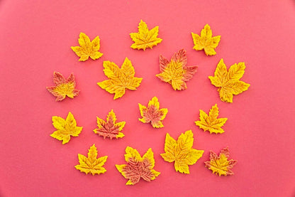 🐾 𝗔𝘂𝘁𝘂𝗺𝗻 𝗙𝗮𝗹𝗹𝘀 🐾